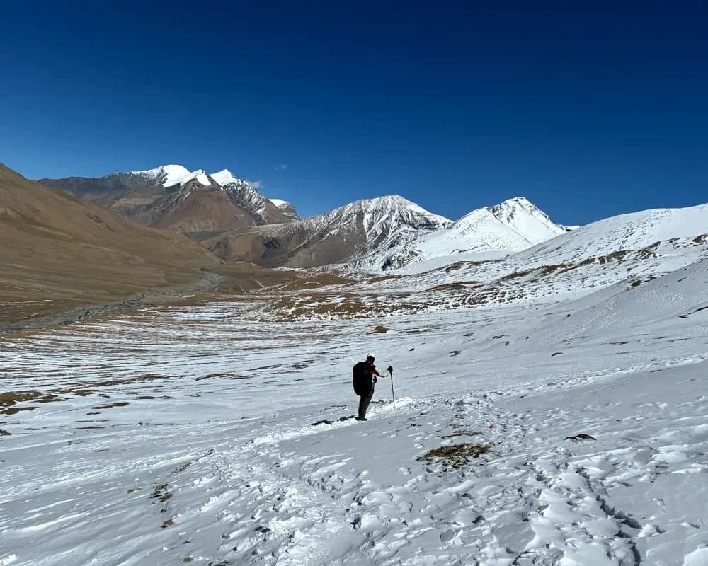 Expedition group celebration on mountain peak